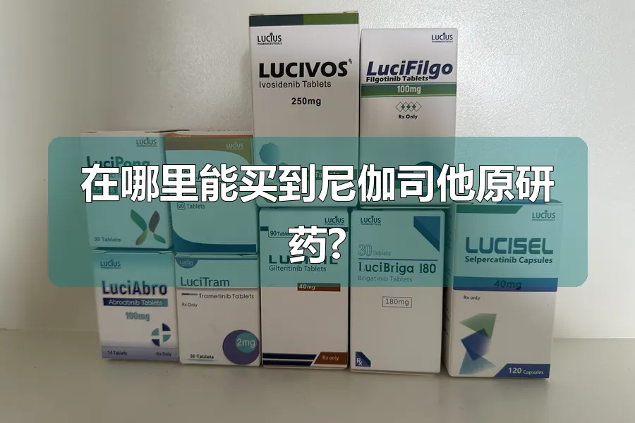 在哪里能买到尼伽司他原研药?